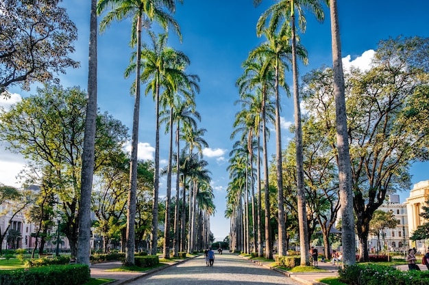 Cali