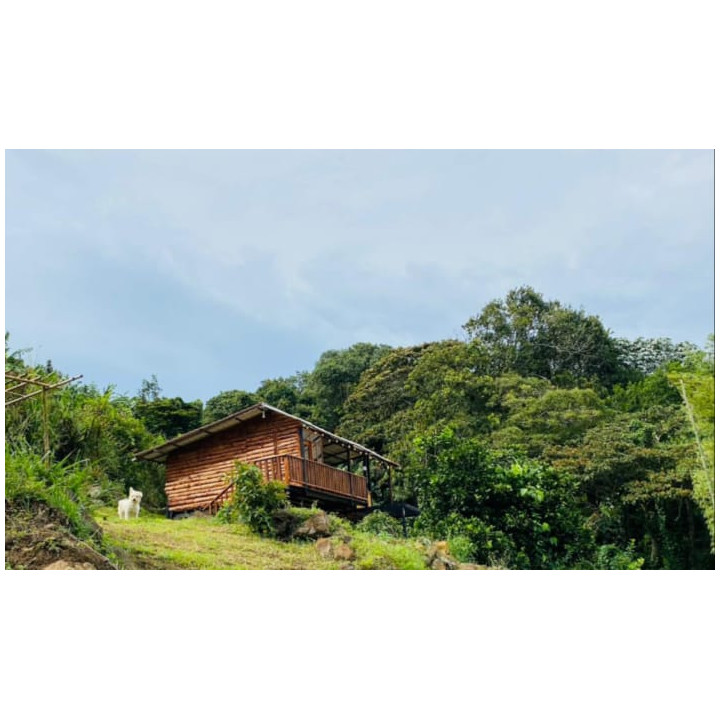 Caba&ntilde;a est&aacute;ndar