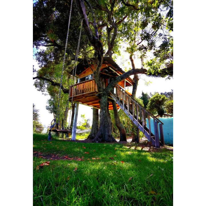 Finca sencilla